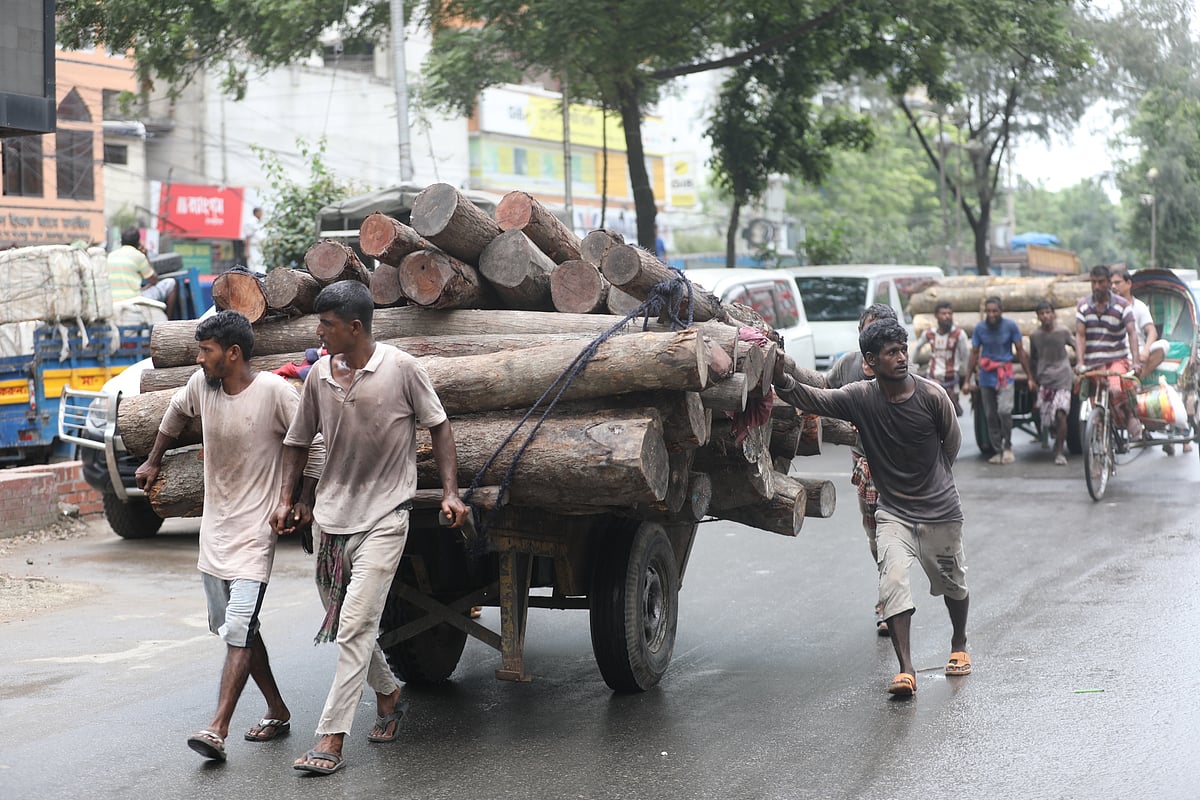 ছবি: দিনার মাহমুদ