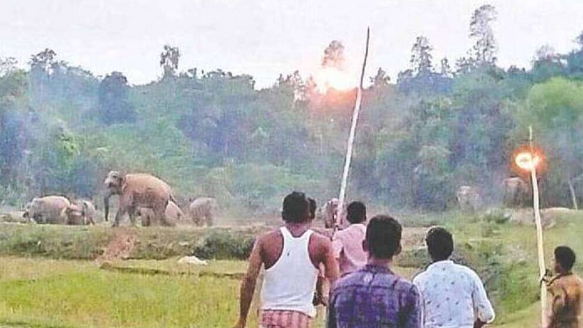 ছ‌বি: প্রথম আলো
