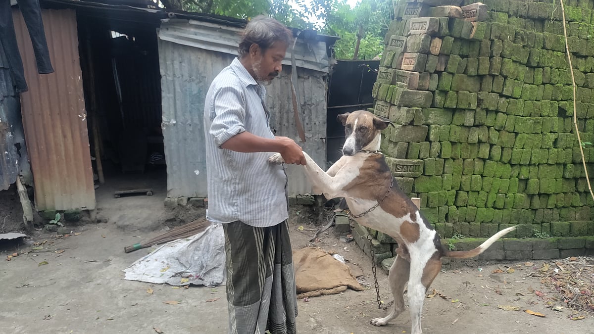 ছবি: লেখক