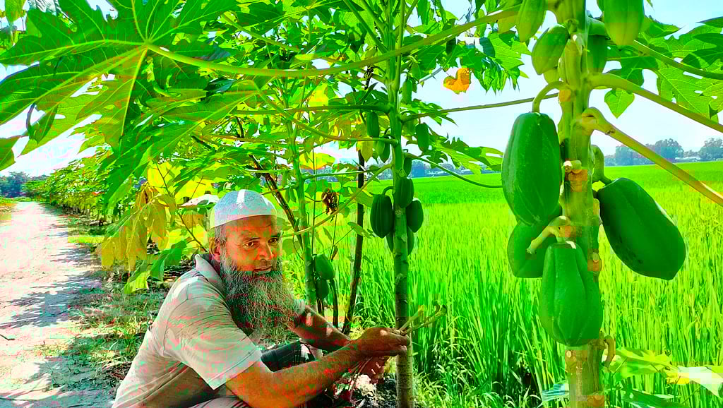 ছবি: রাজিউল ইসলাম