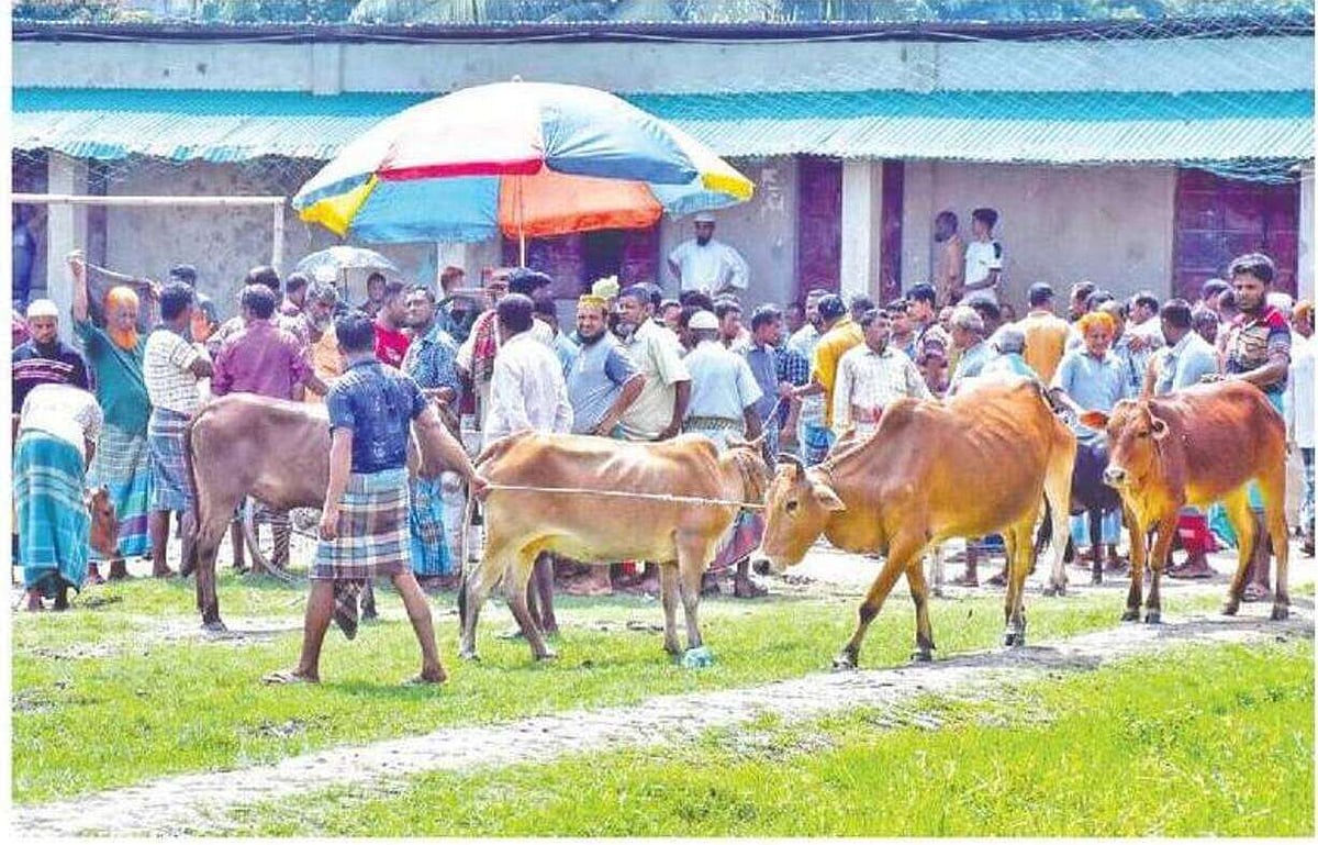 ছবি: প্রথম আলো
