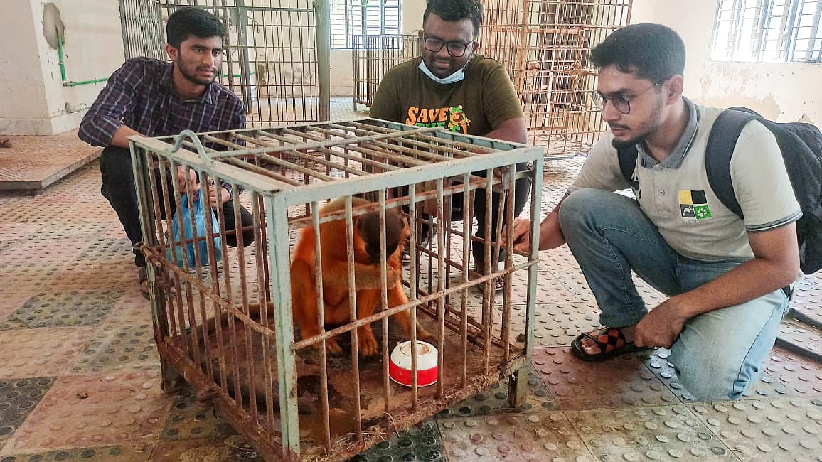 ছ‌বি: প্রথম আলো