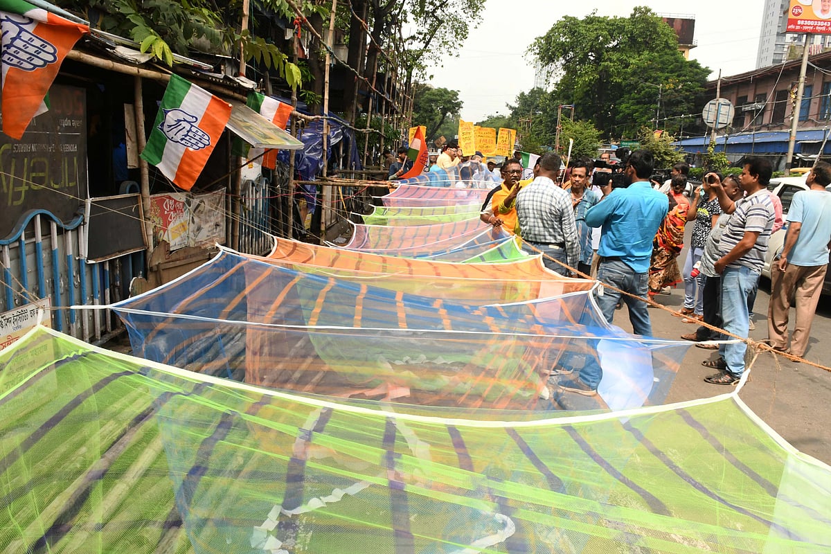 ছবি: ভাস্কর মুখার্জি