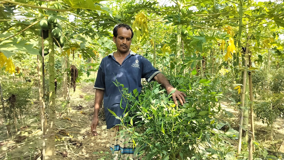 প্রথম আলো