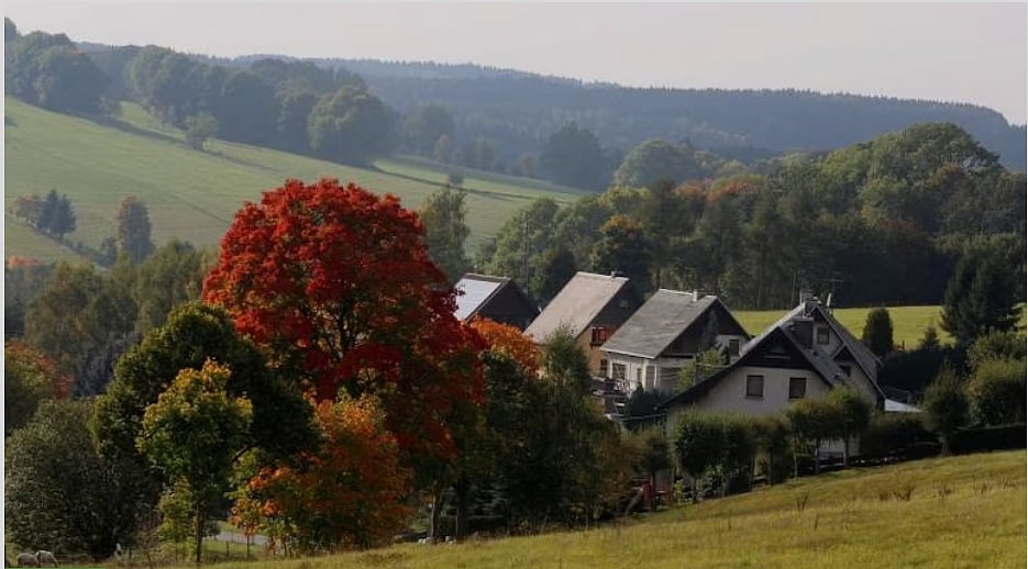 ফাইল ছবি: রয়টার্স