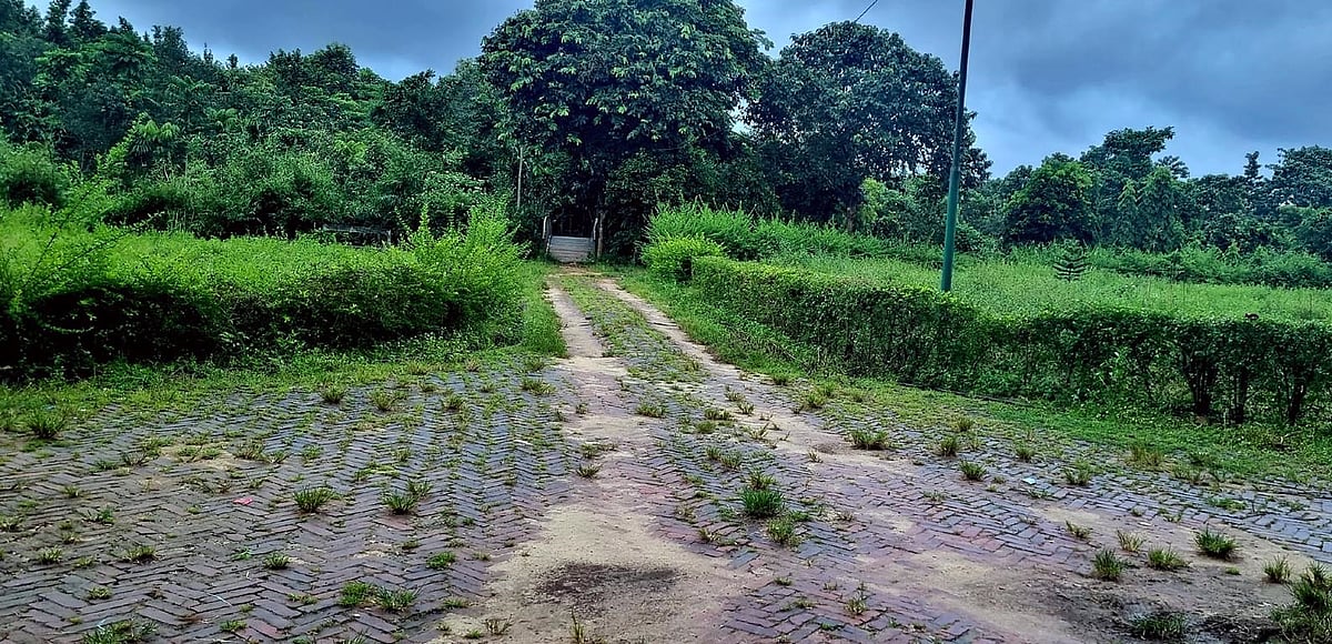 ছবি: প্রথম আলো