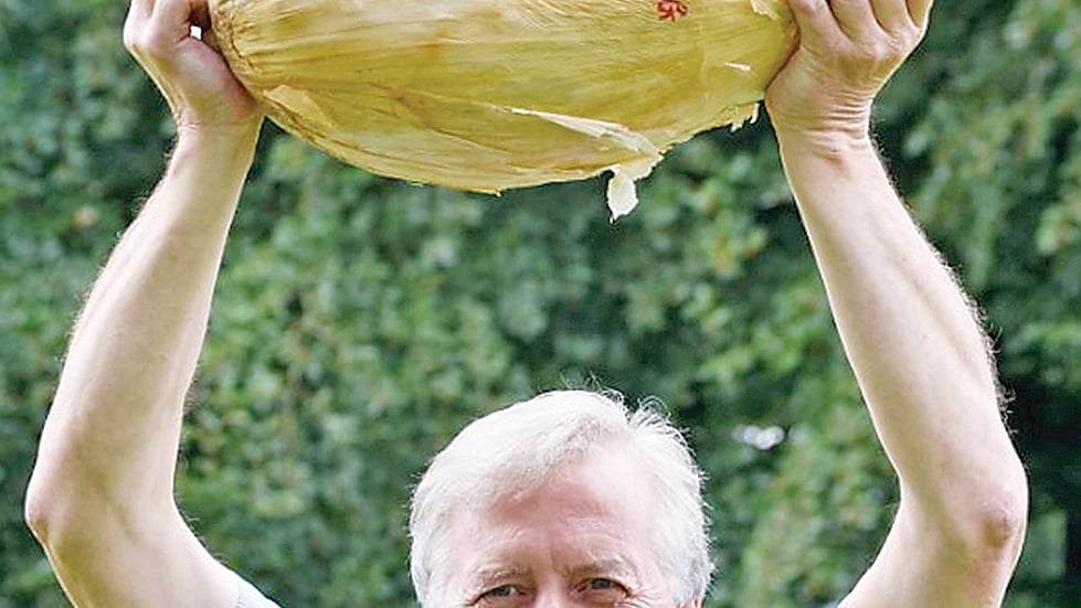 ছবি: হ্যারোগেট অটাম ফ্লাওয়ার শোর ইনস্টাগ্রাম থেকে