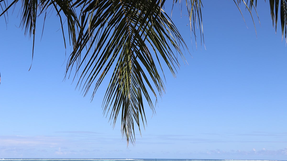 ছবি: সাদি ইসলাম