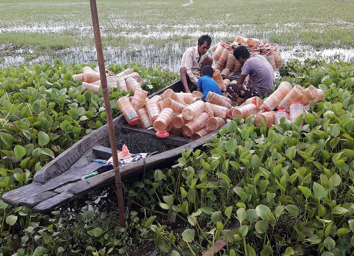 ছবি: প্রথম আলো