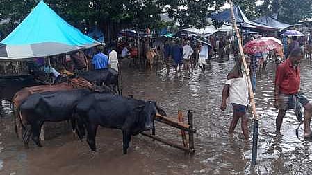 ছবি: প্রথম আলো
