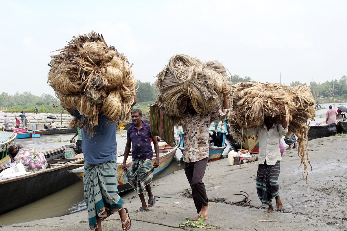 নদীপথে ট্রলারে করে নিয়ে আসা পাট নামাচ্ছেন শ্রমিকেরা।
