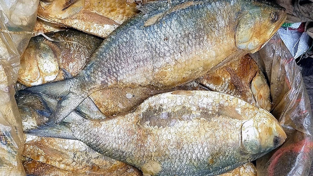 ছবি: প্রথম আলো