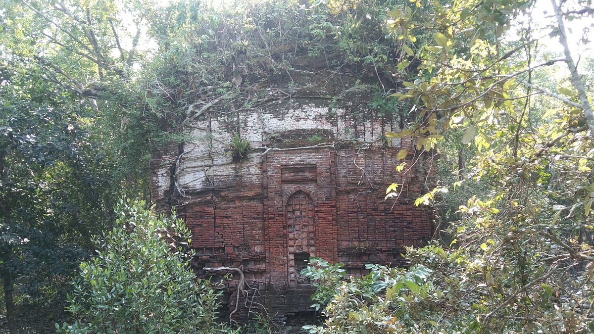 ছবি: প্রথম আলো