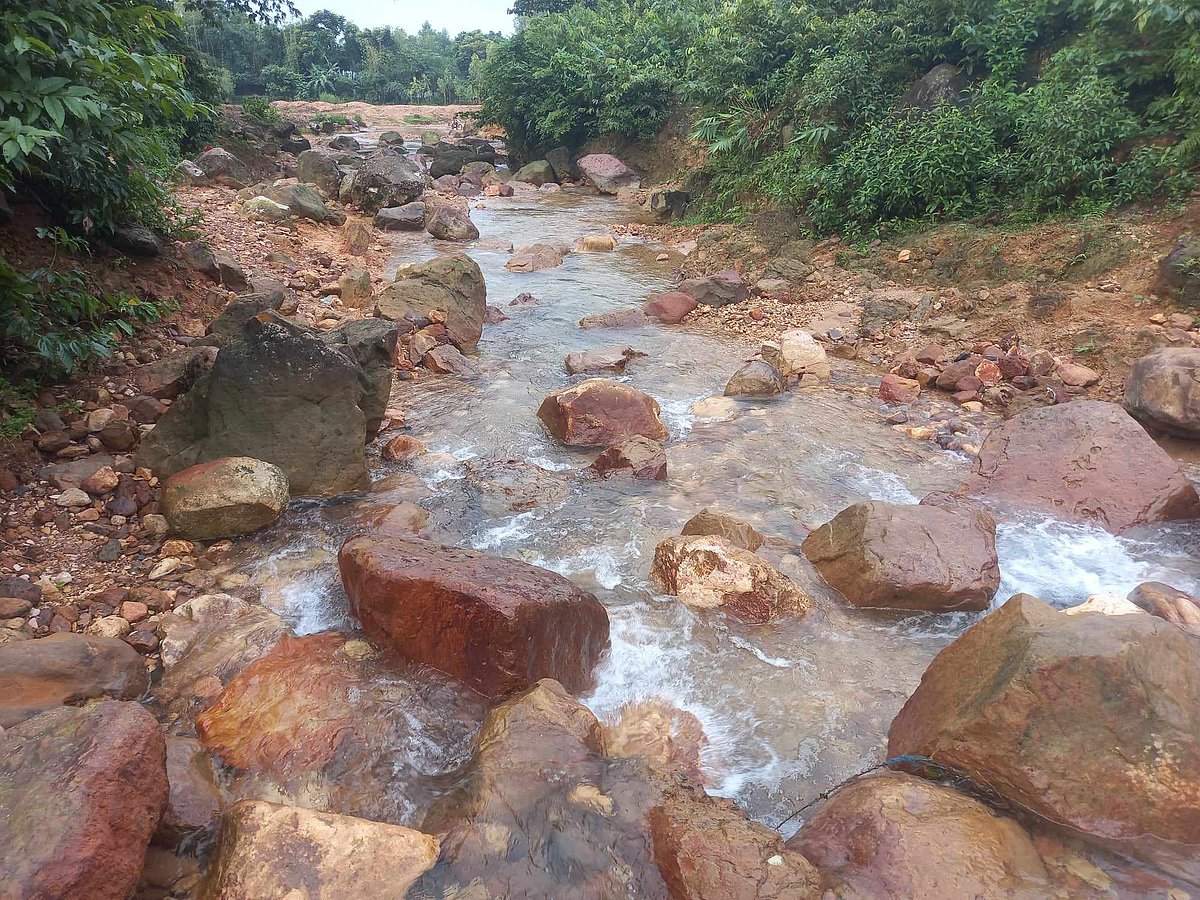 ছবি: প্রথম আলো