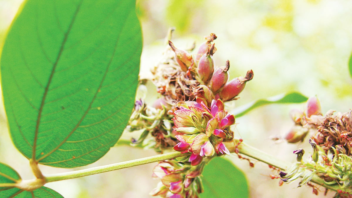 ছবি: লেখক