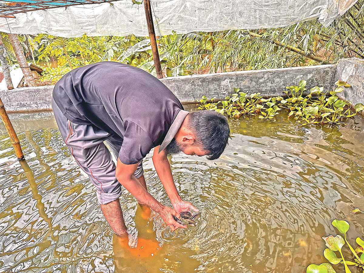 ছবি: প্রথম আলো