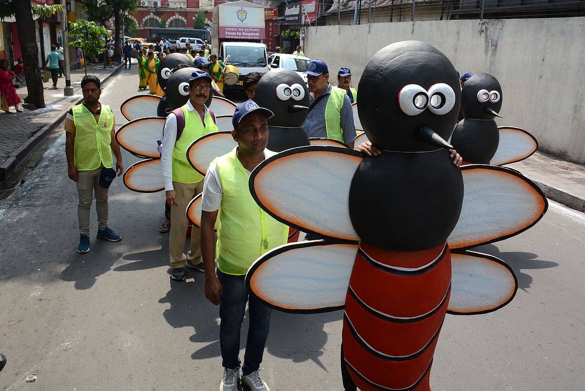 ছবি: ভাস্কর মুখার্জি     