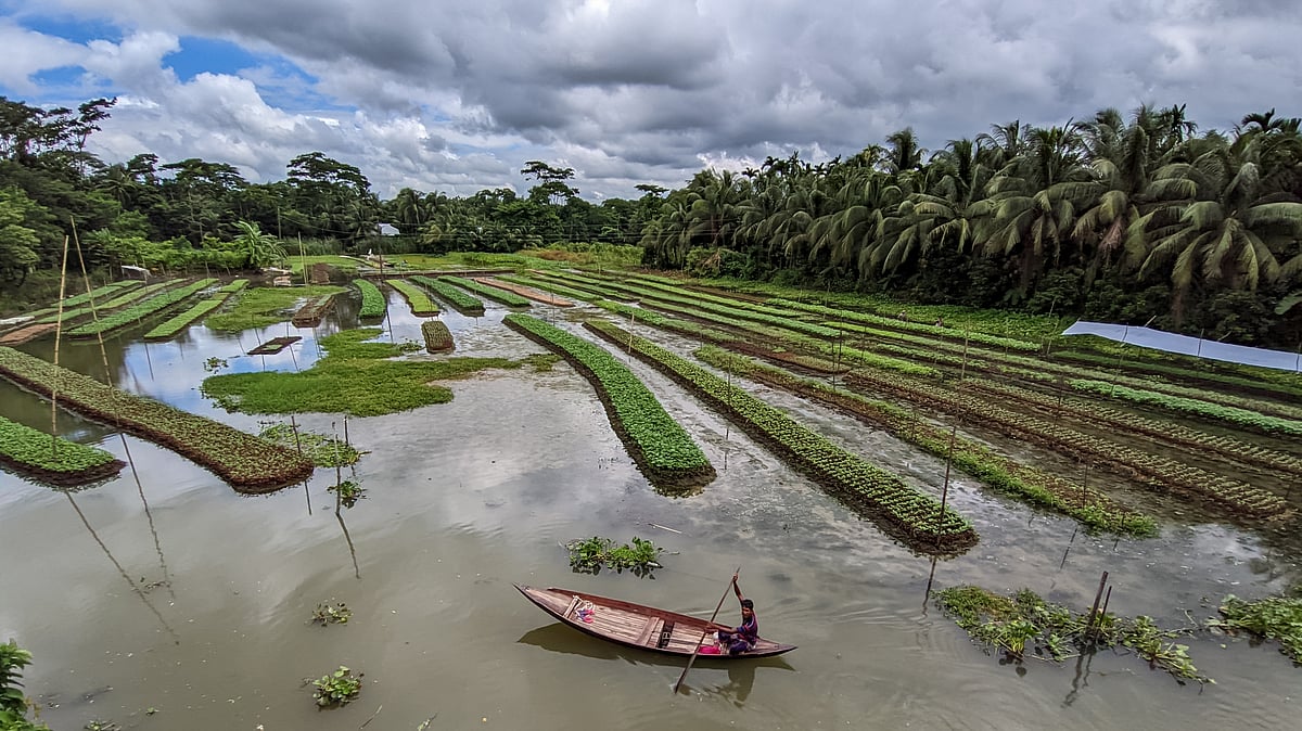 ছবি: সাইয়ান