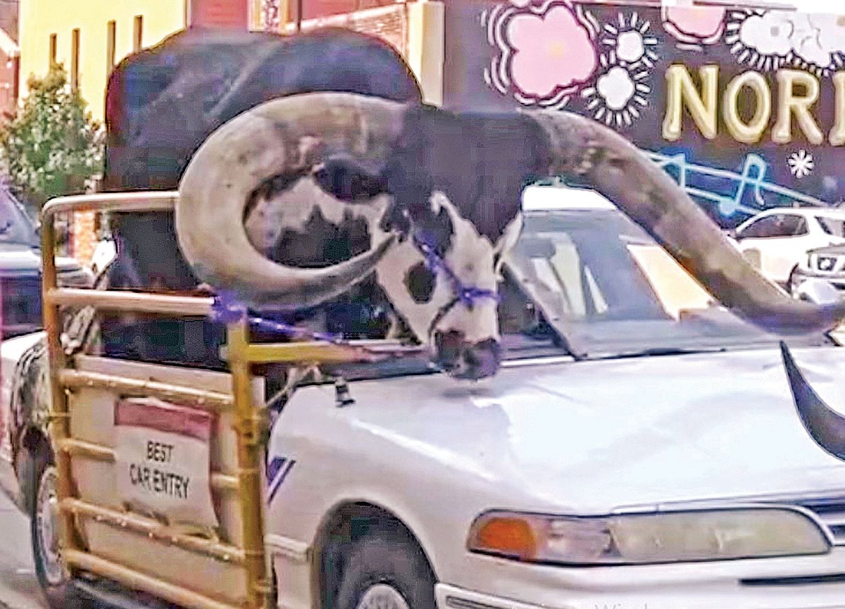 ছবি: ভিডিও থেকে