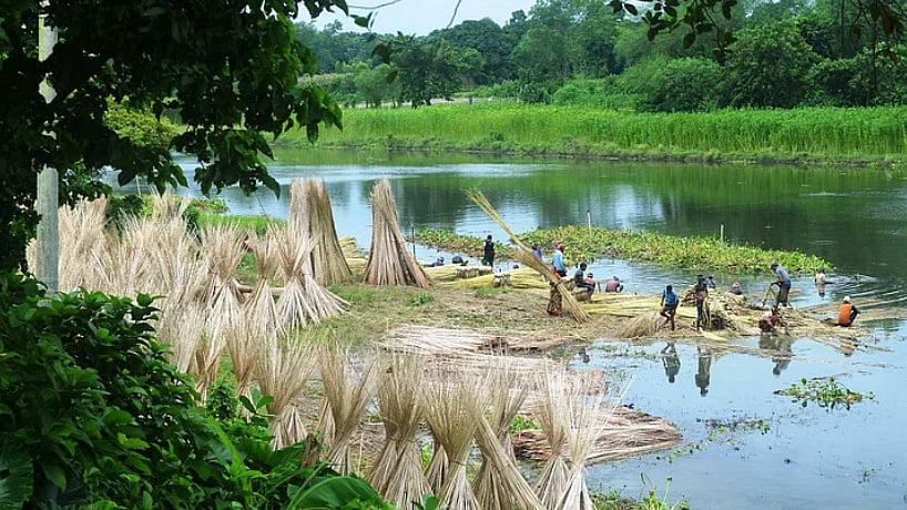 ফাইল ছবি