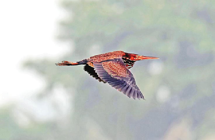 ছবি: লেখক