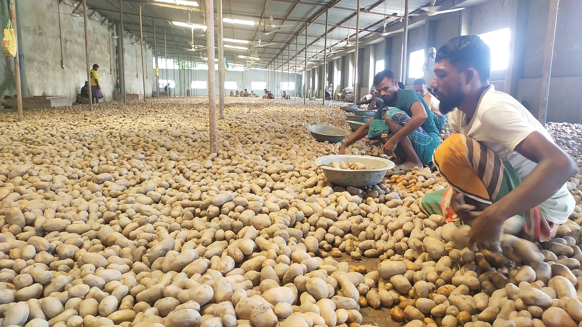 ছবি: প্রথম আলো