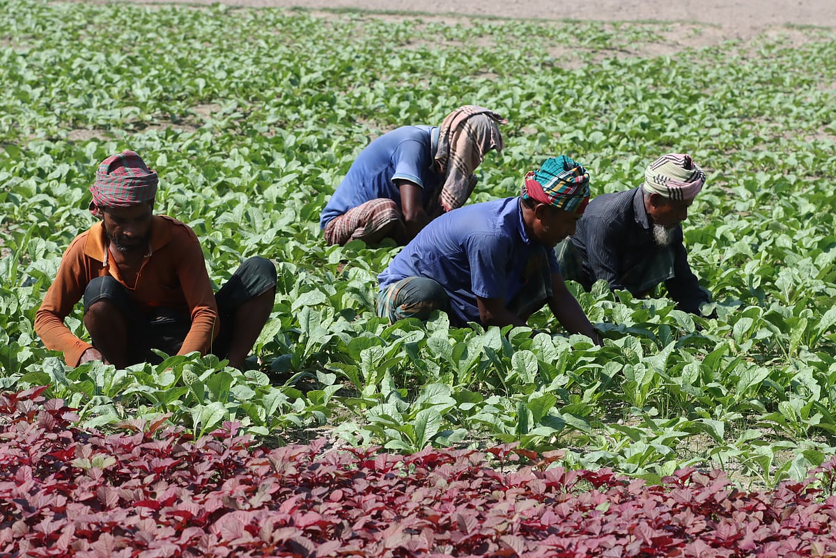 ছবি: মঈনুল ইসলাম 