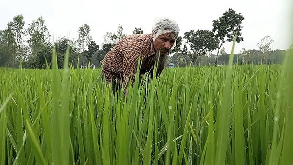 ছবি: প্রথম আলো 