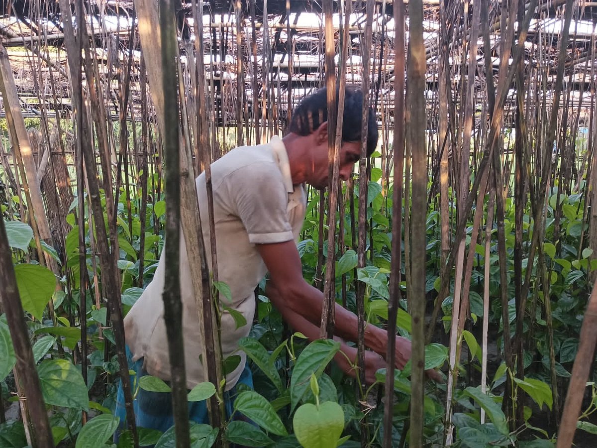 ছবি: প্রথম আলো