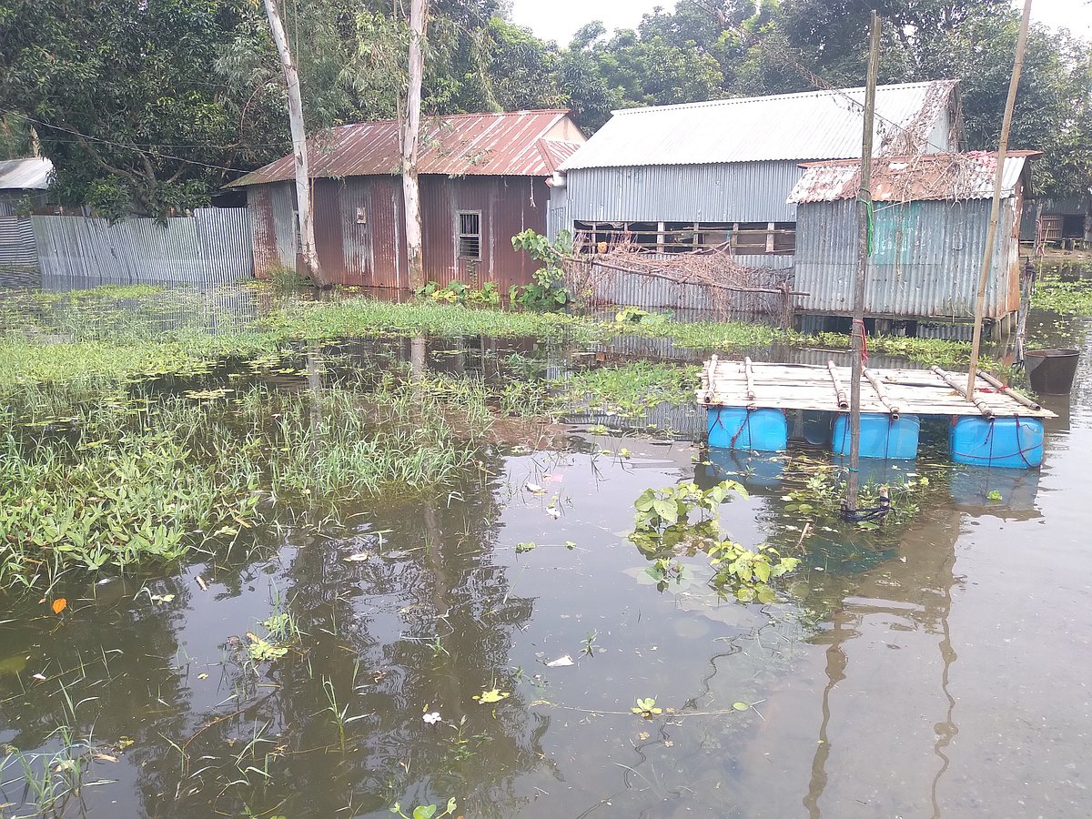 ছবি:প্রথম আলো