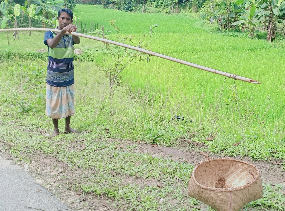 ছবি: প্রথম আলো