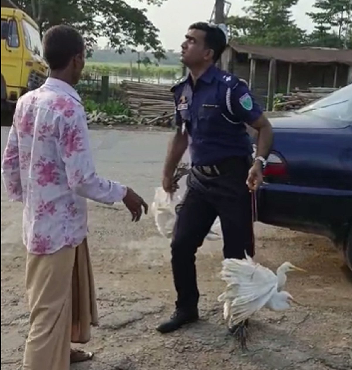  ছবি ভিডিও থেকে নেওয়া