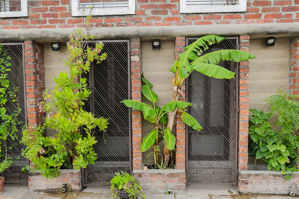 ছবি : সাবিনা ইয়াসমিন