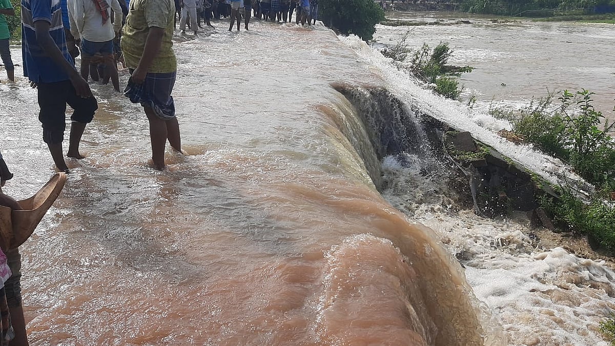 ছবি: প্রথম আলো