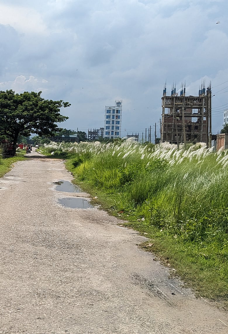 দিয়াবাড়িতে কাশফুলের সঙ্গে আছে স্ট্রিট ফুডও