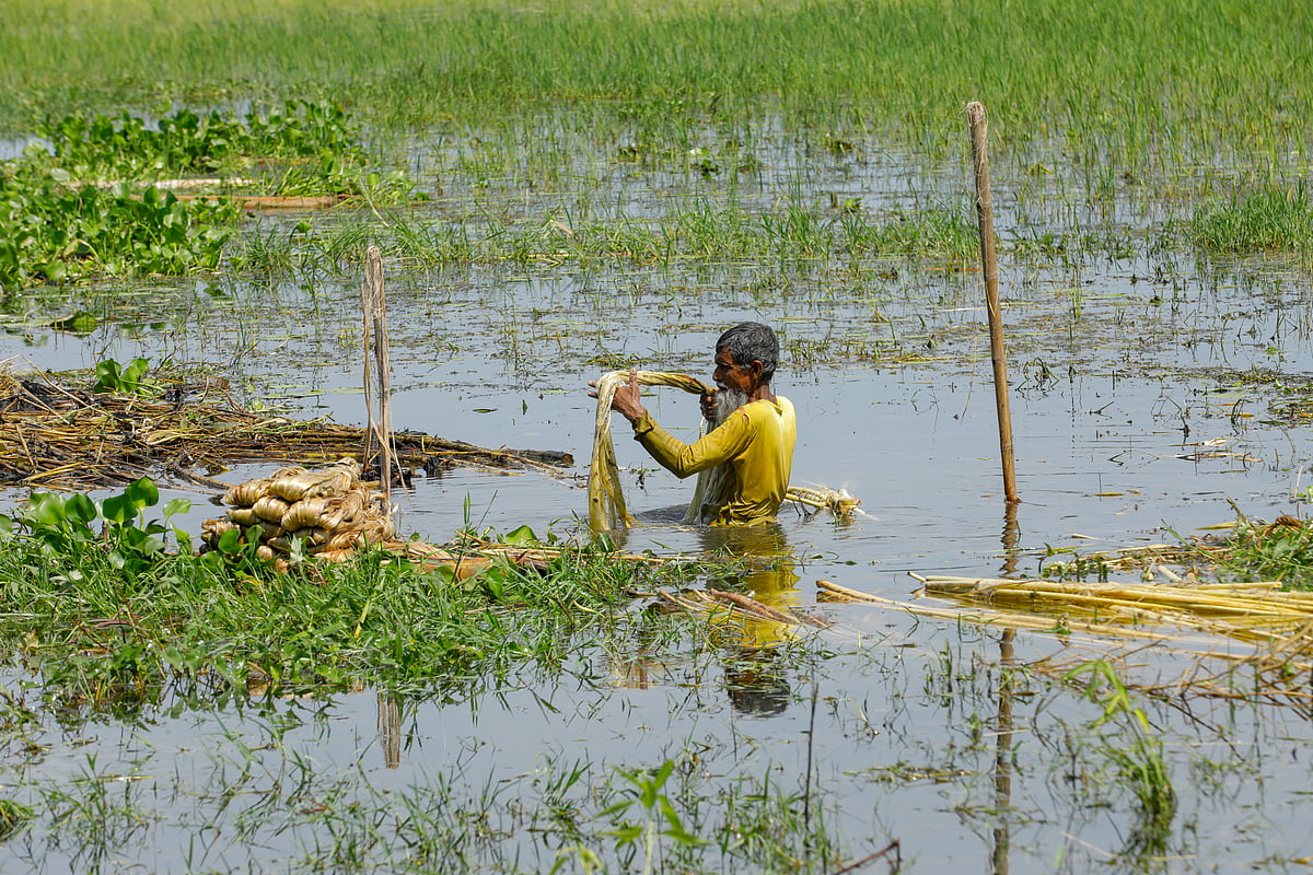ছবি: সাদ্দাম হোসেন 