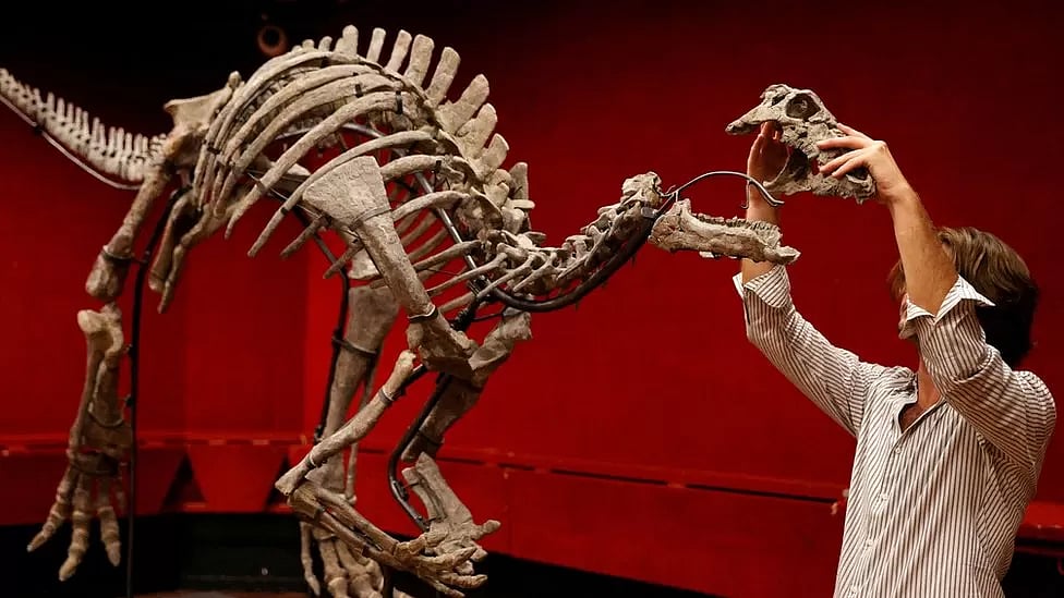 ছবি: রয়টার্স