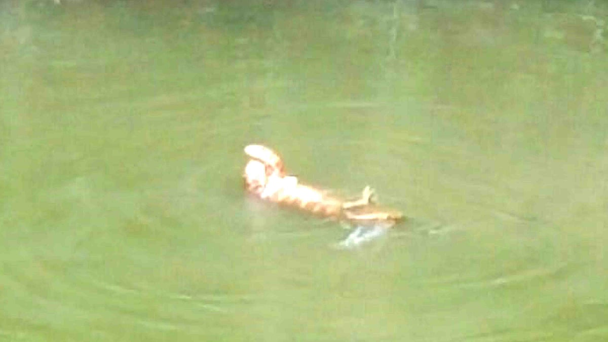 ছবি: প্রথম আলো