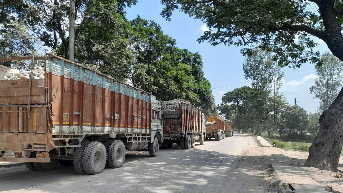 ছবি: প্রথম আলো