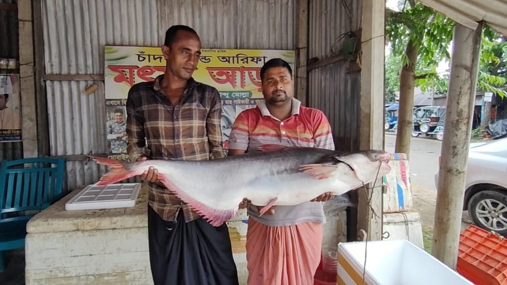 ছবি: প্রথম আলো