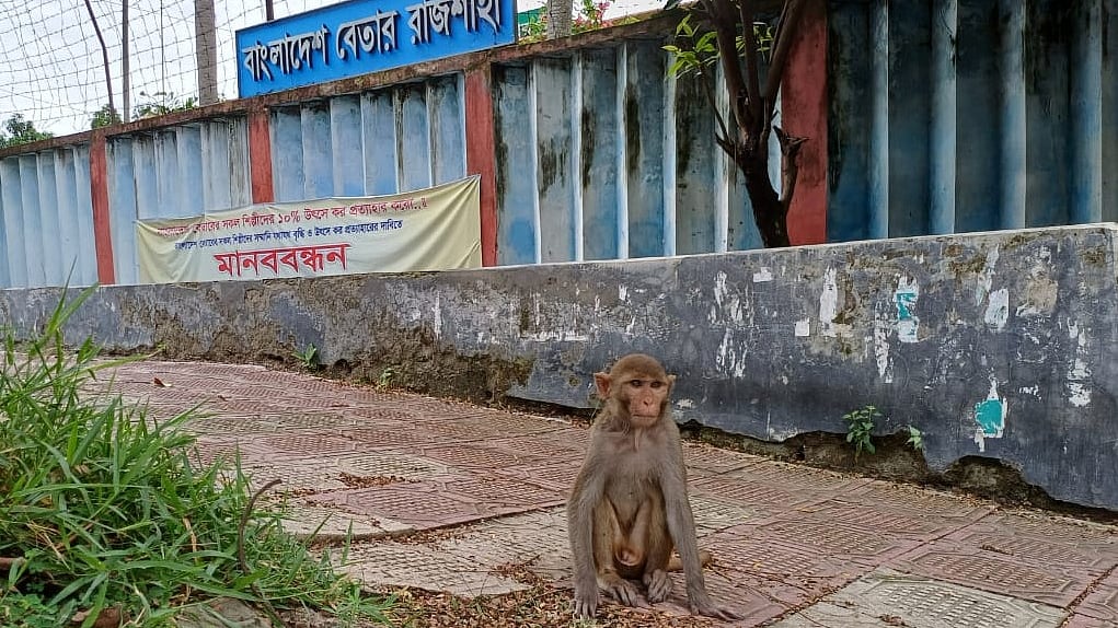 ছবি: প্রথম আলো