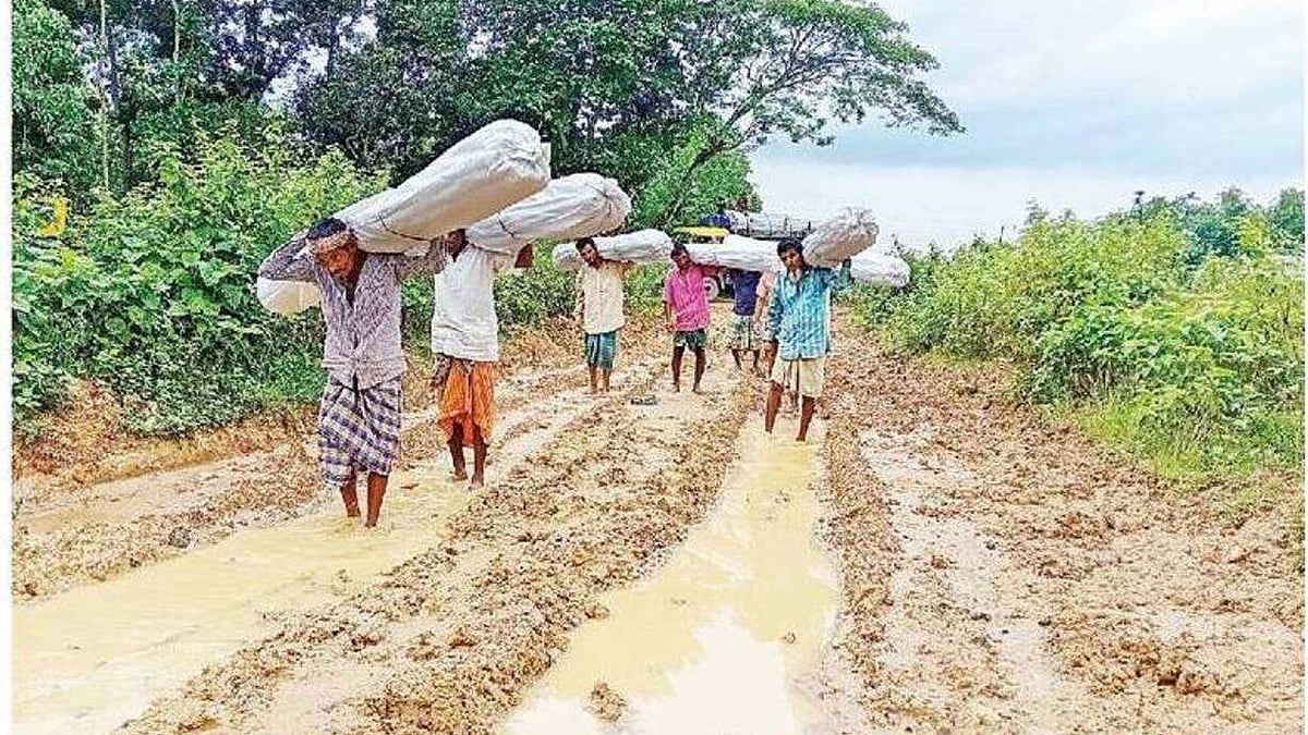 ছবি: প্রথম আলো