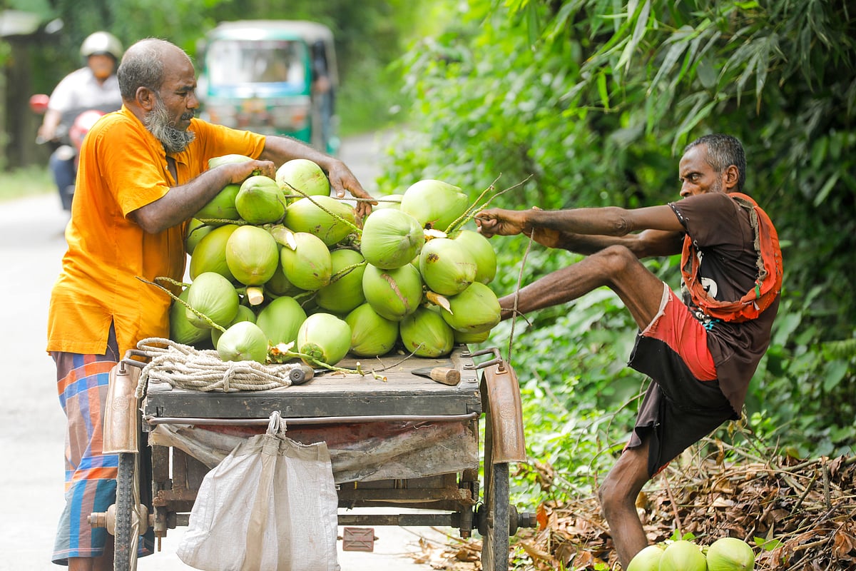  ছবি: সাদ্দাম হোসেন 