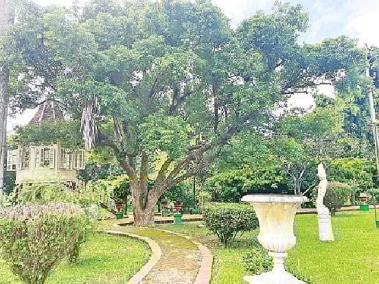 ছবি: প্রথম আলো