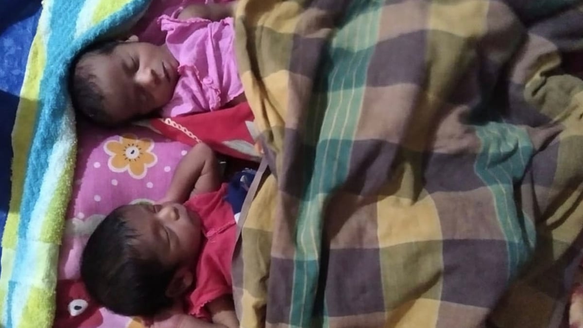 ছবি: প্রথম আলো