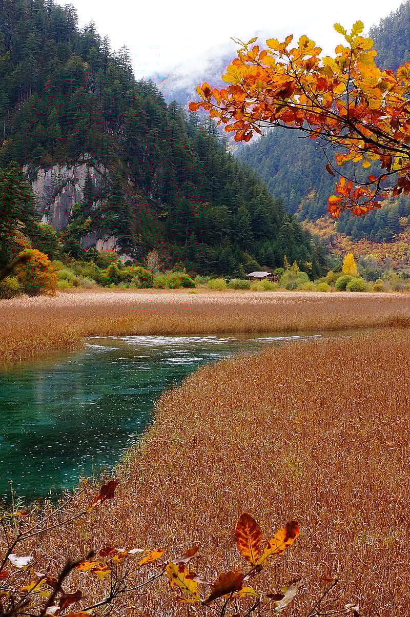 ছবি: উইকিমিডিয়া কমনস