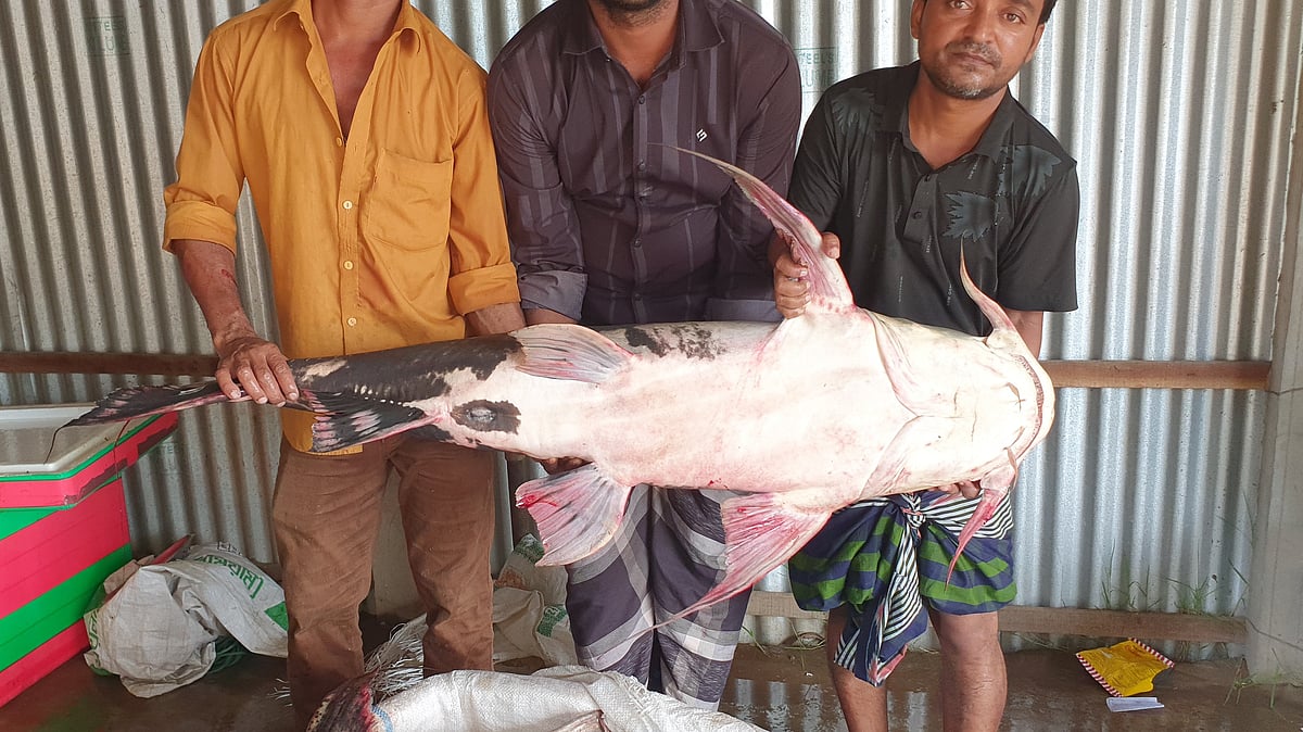 ছবি: প্রথম আলো