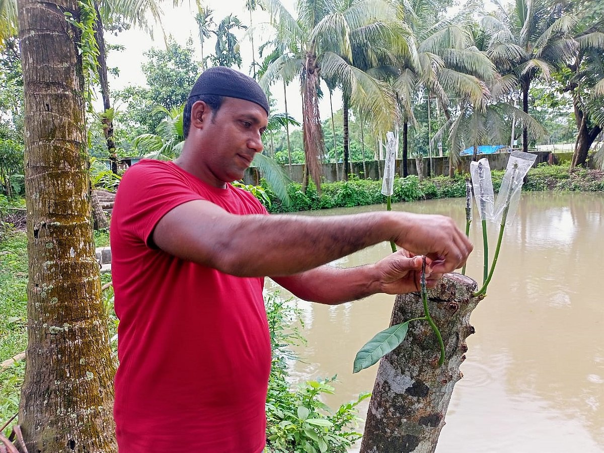 ছবি: ইকবাল হোসেন