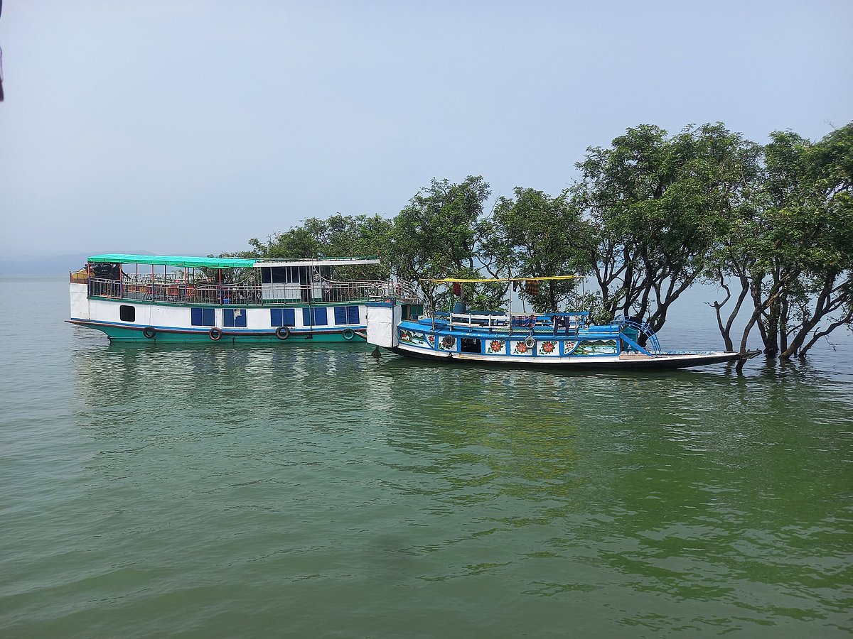 ছবি: প্রথম আলো