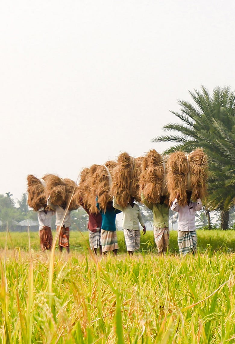 হেমন্তের স্নিগ্ধ আমেজ পেতে ঘুরে আসুন সবচেয়ে উত্তরের জেলাগুলো 